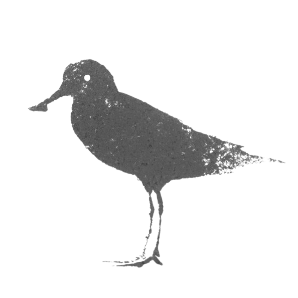 박원순 소셜 아카이브